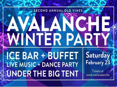 Avalanche Winter Party